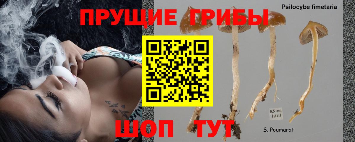 Копейск  Псилоцибиновые грибы MAGIC MUSHROOMS  магазин продажи   Вход с VPN 
